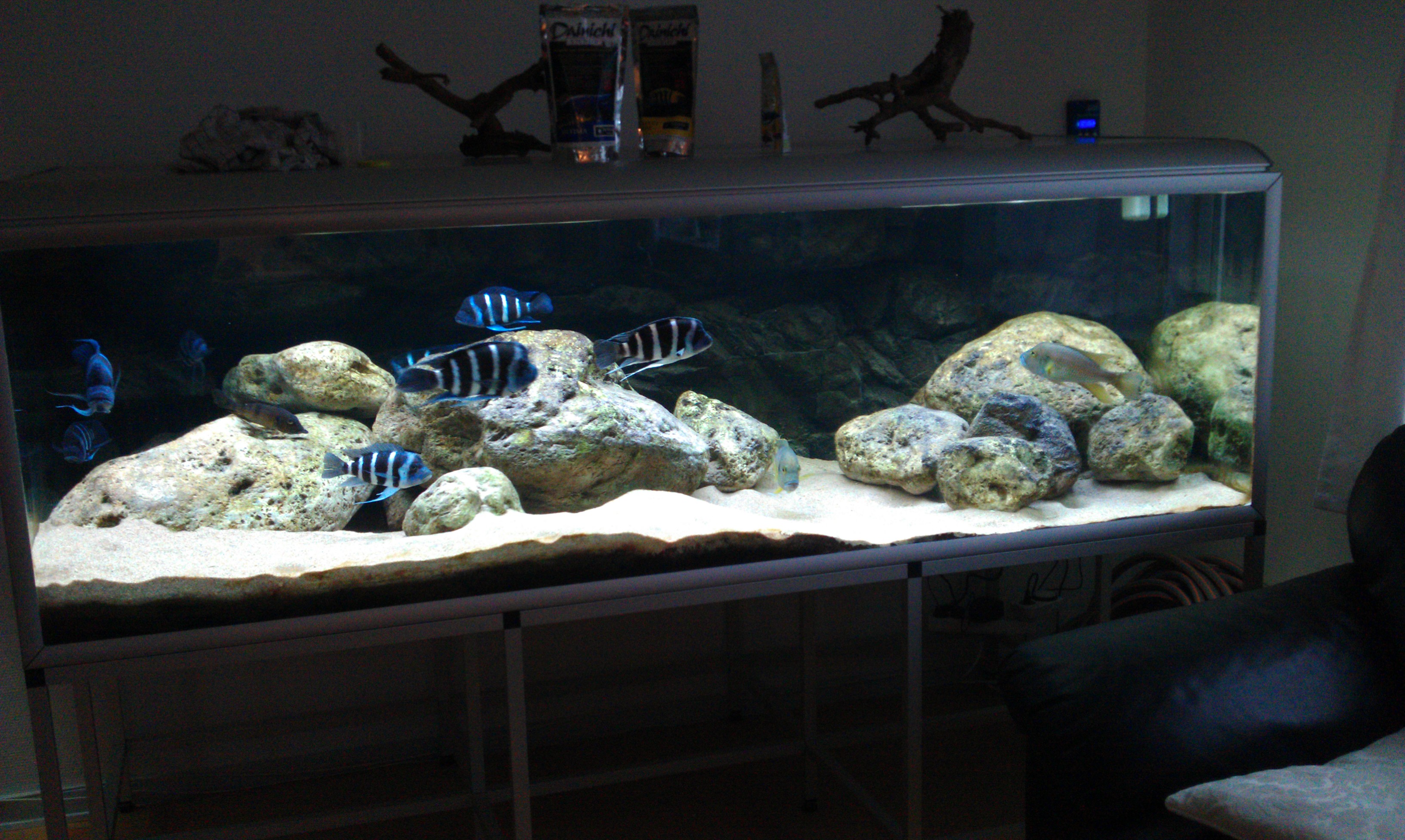 Akvarie